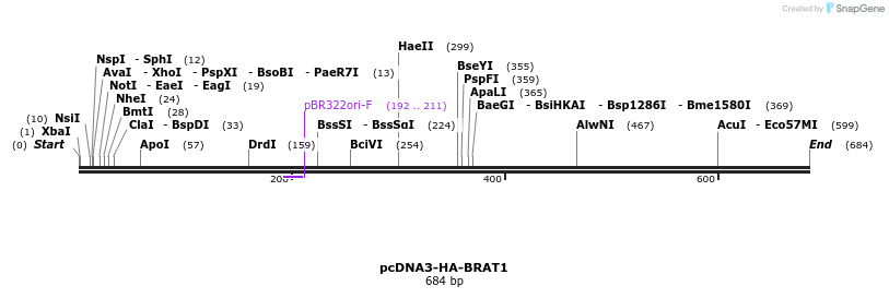 106164_map