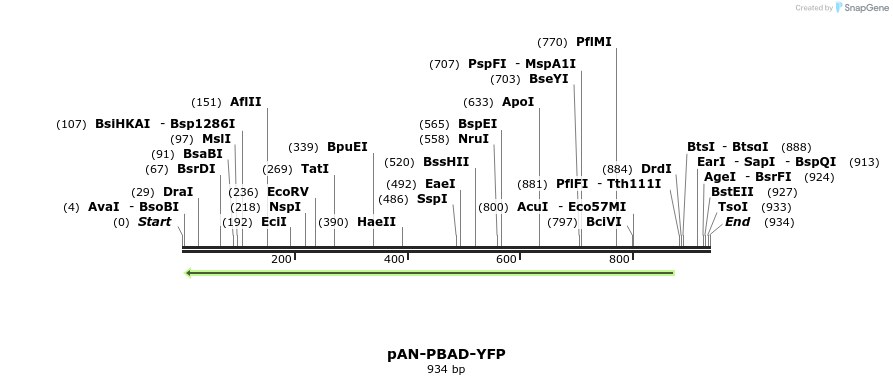 106166_map