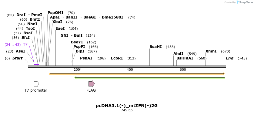 106172_map
