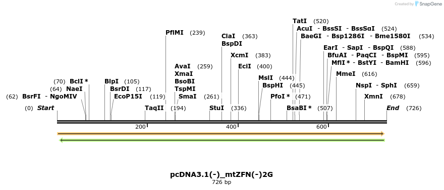 106173_map