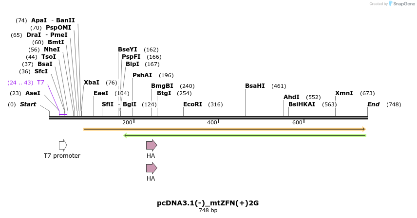 106174_map
