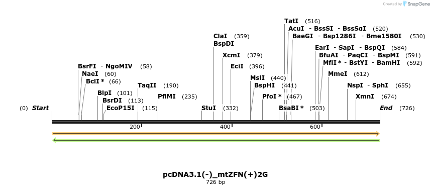 106175_map