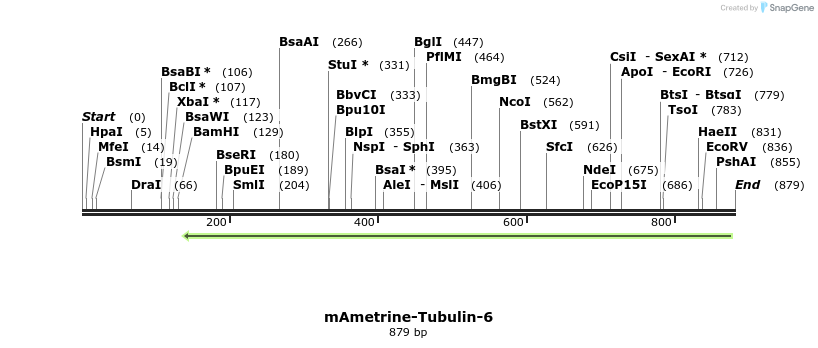 106176_map