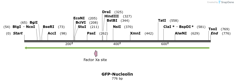 106178_map