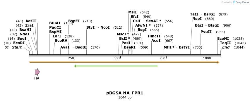 106183_map