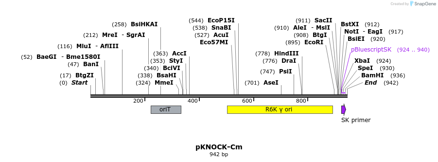 106188_map