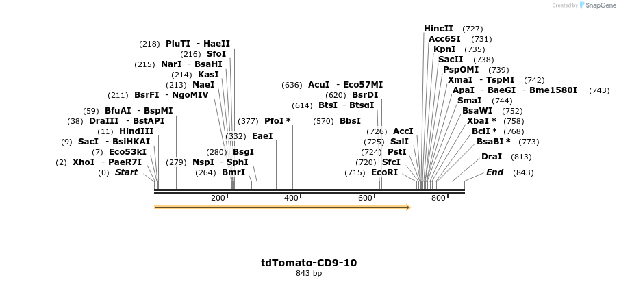 106191_map