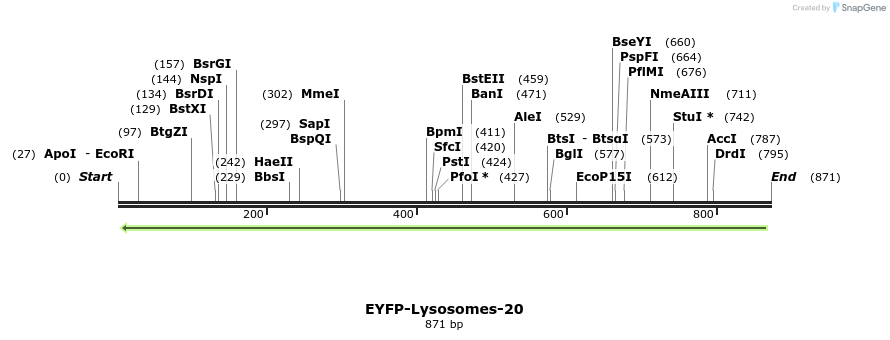 106192_map