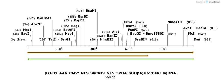 106199_map
