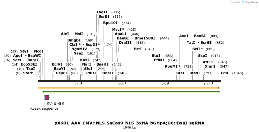 106201_map