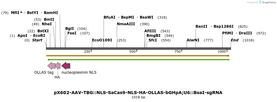 106203_map