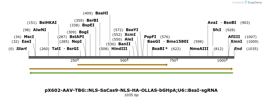 106204_map