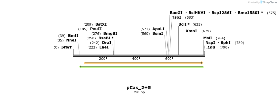 106206_map