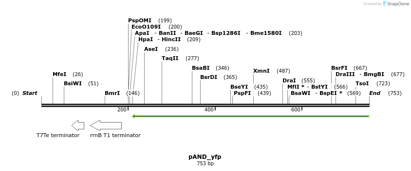 106207_map