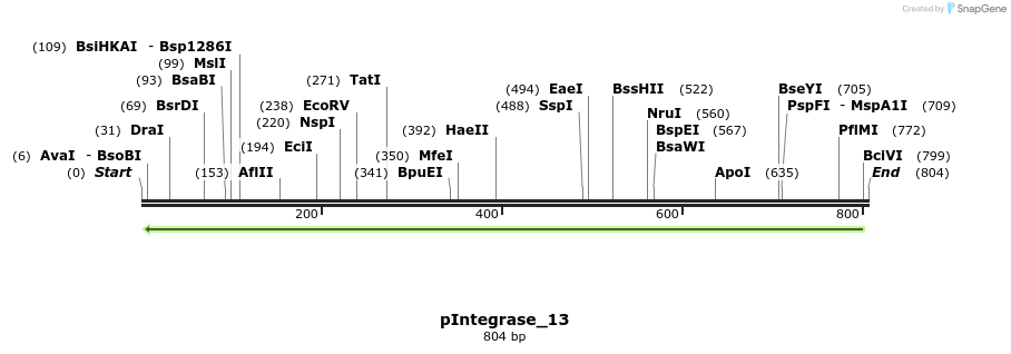 106208_map
