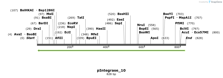 106210_map