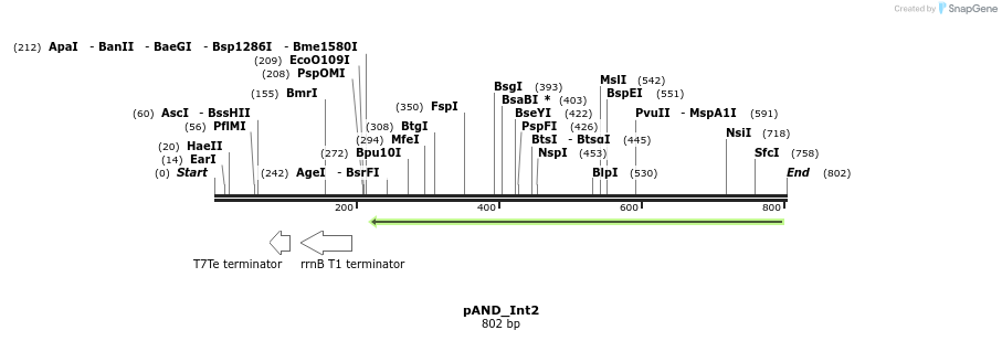 106212_map