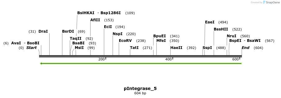 106217_map