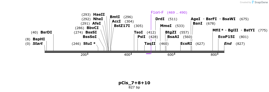 106241_map