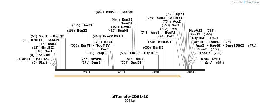 106248_map