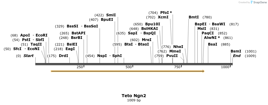 106250_map