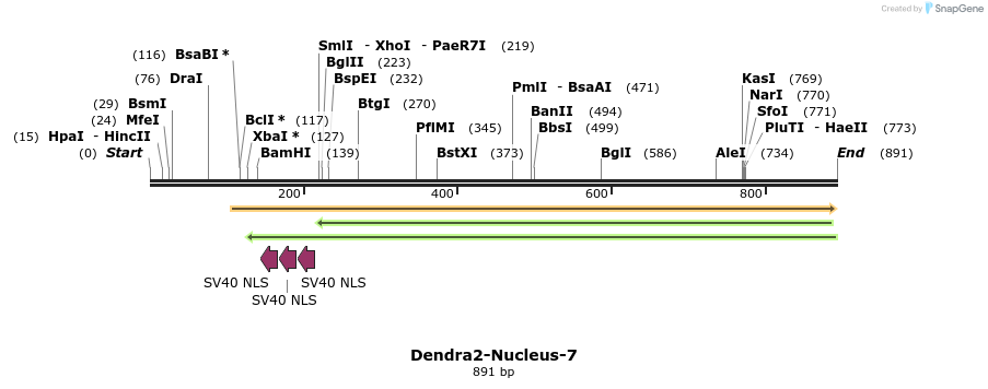 106251_map