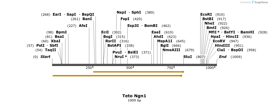 106254_map