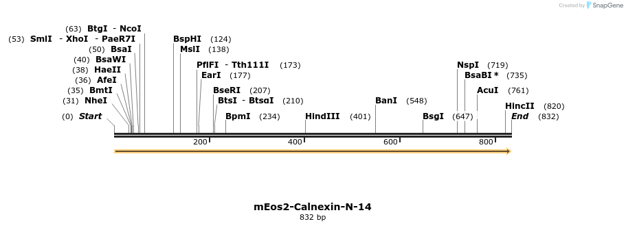 106256_map