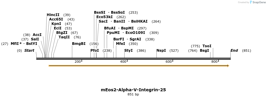 106259_map