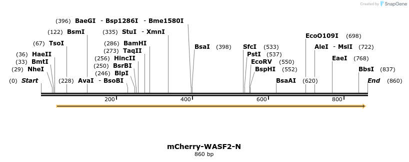 106261_map