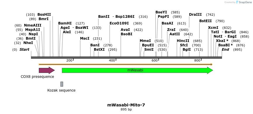 106269_map