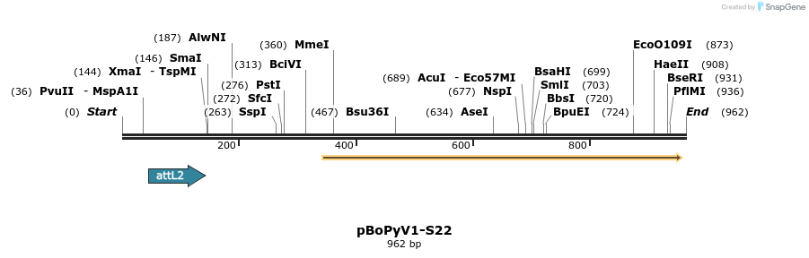 106271_map