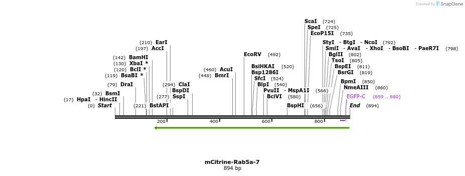 106273_map