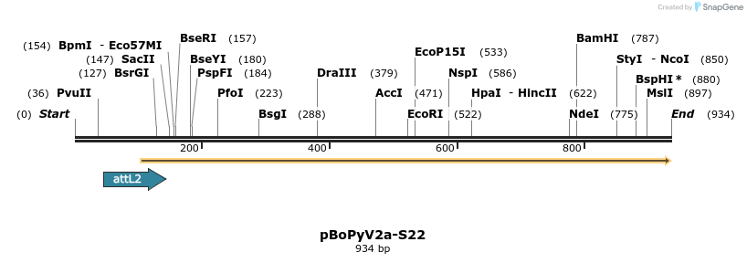 106274_map