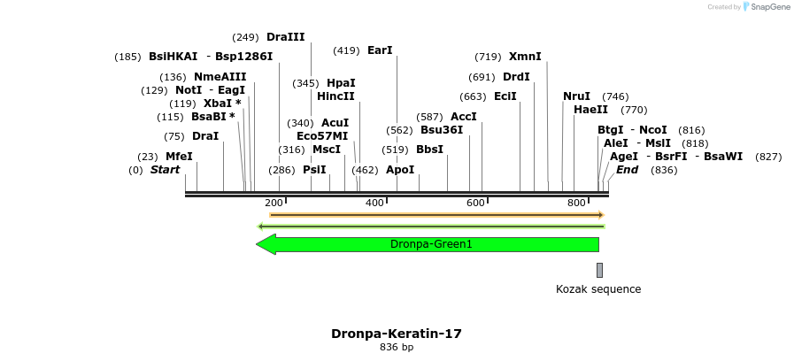 106275_map