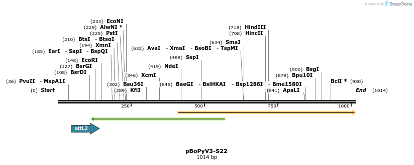 106277_map