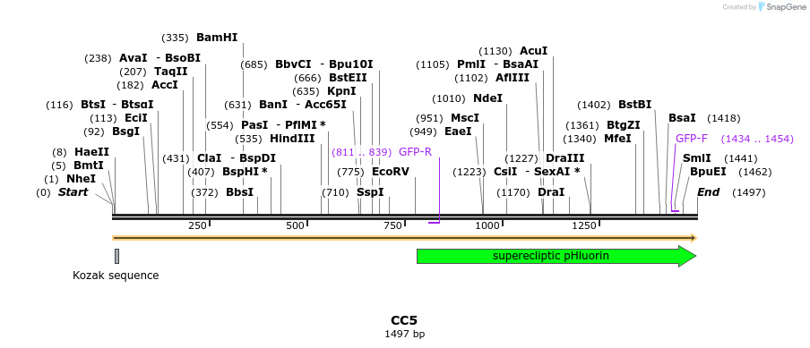 106286_map