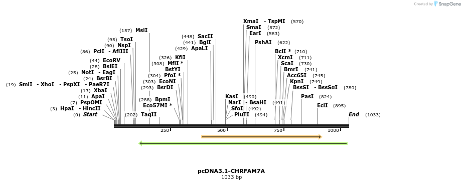106295_map