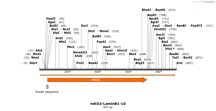 106300_map