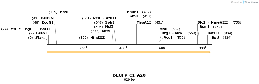 106303_map