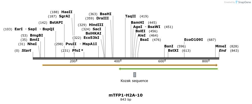 106304_map