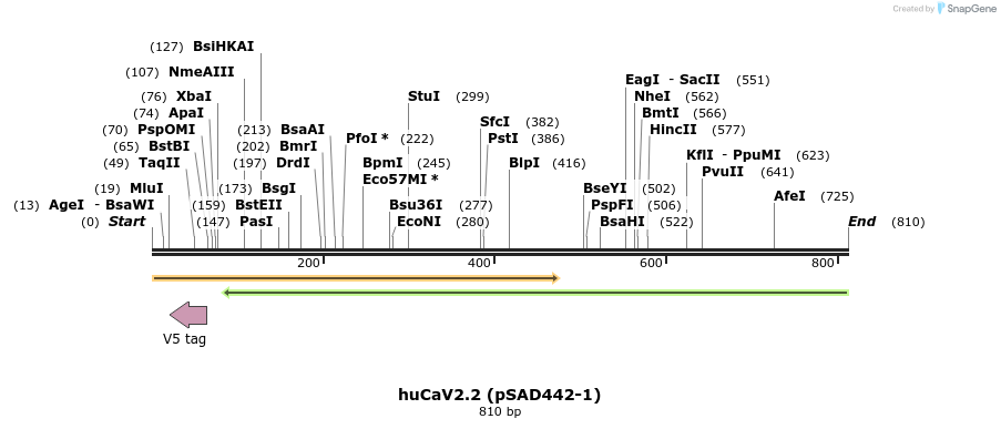 106311_map