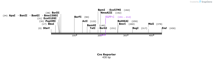 106312_map