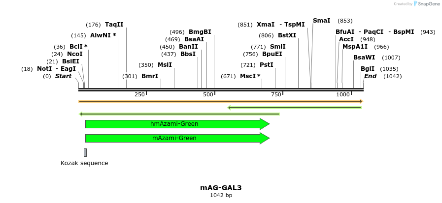 106316_map