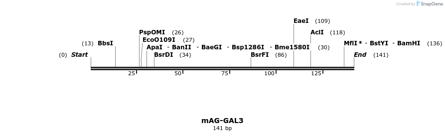 106317_map