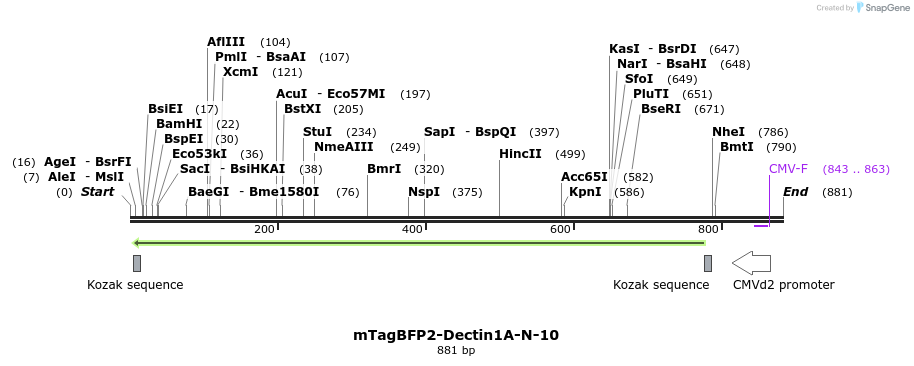 106319_map