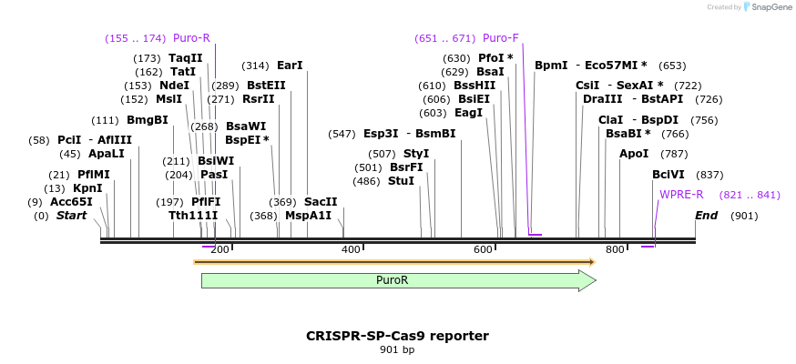 106321_map