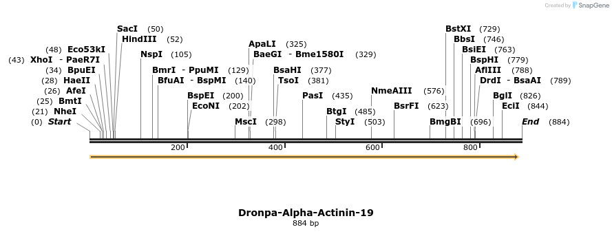 106336_map