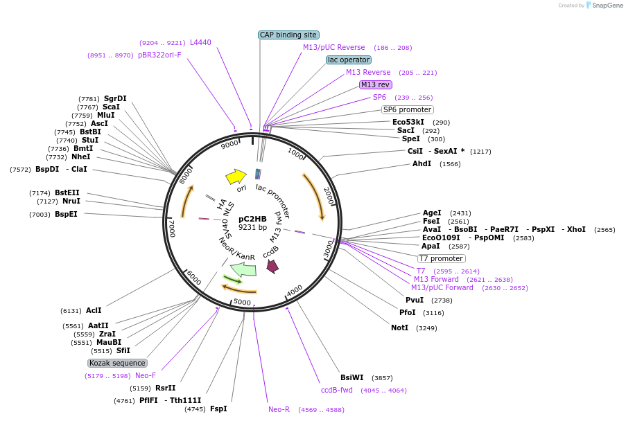 106350_map