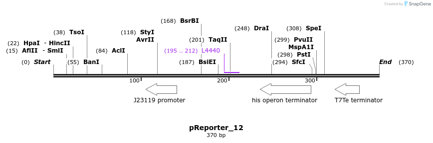 106361_map